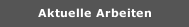 Aktuelle Arbeiten